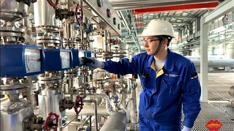 酿酒储罐材质选择：不锈钢与碳钢的较量